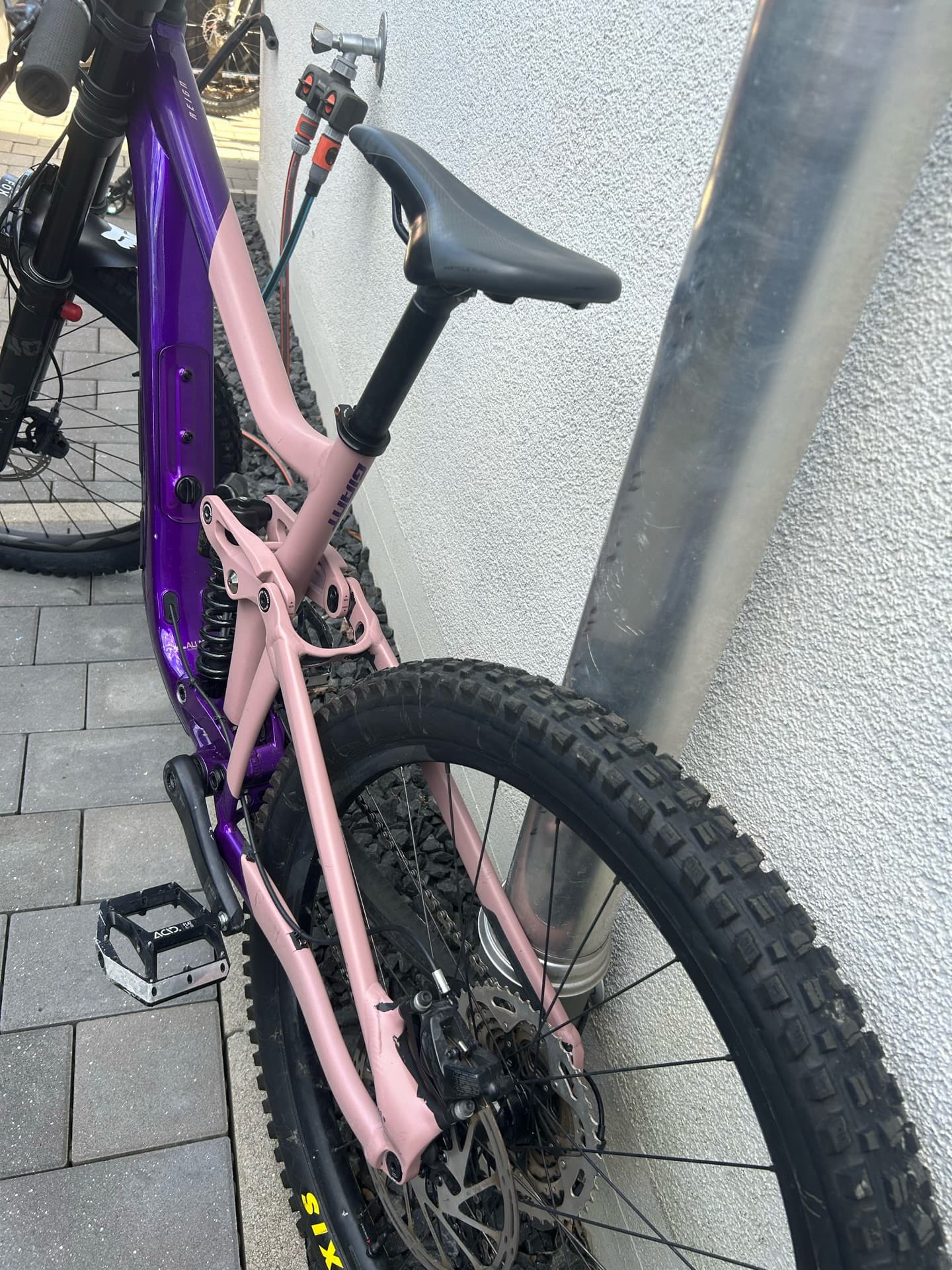 Giant Reign Sx 2024