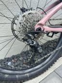 Giant Reign Sx 2024