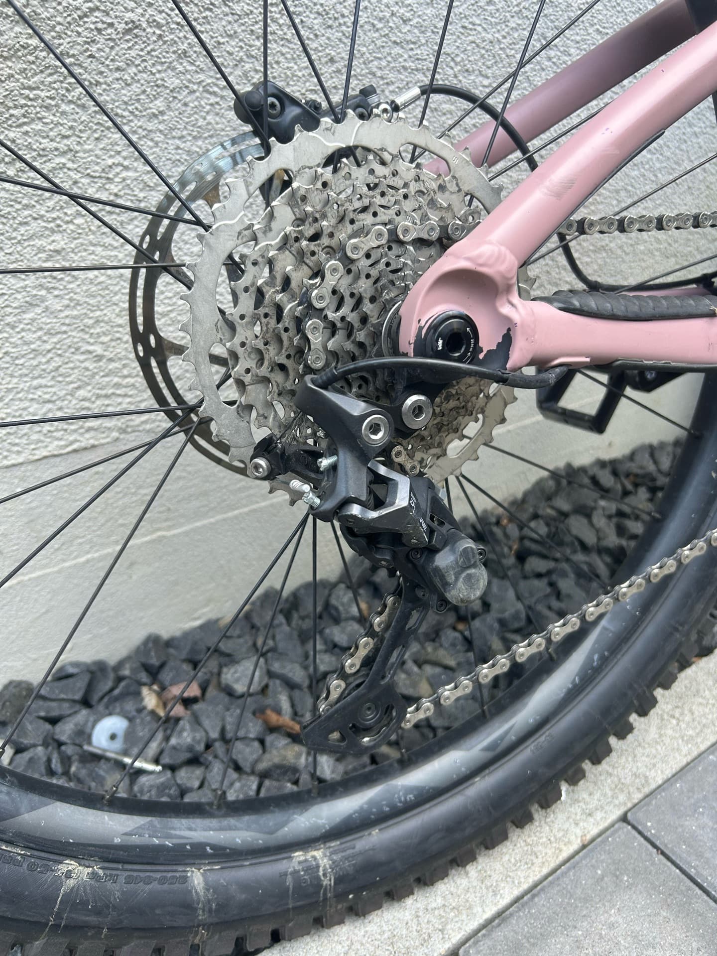 Giant Reign Sx 2024
