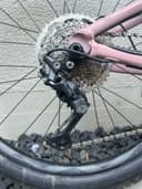 Giant Reign Sx 2024