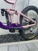 Giant Reign Sx 2024