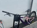 Giant Reign Sx 2024