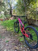 Marin Rift Zone 1 2025