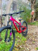 Marin Rift Zone 1 2025