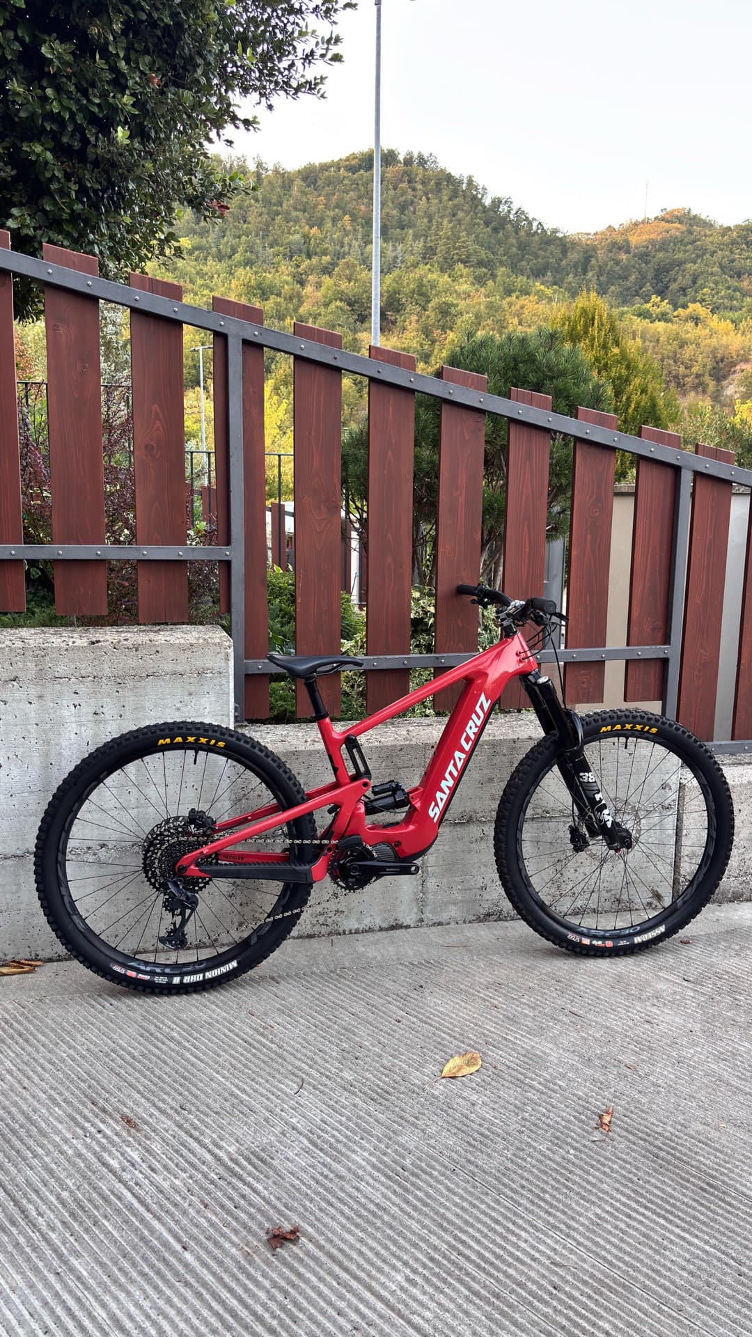 Santa Cruz HECKLER R 29 / Carbon C 2024