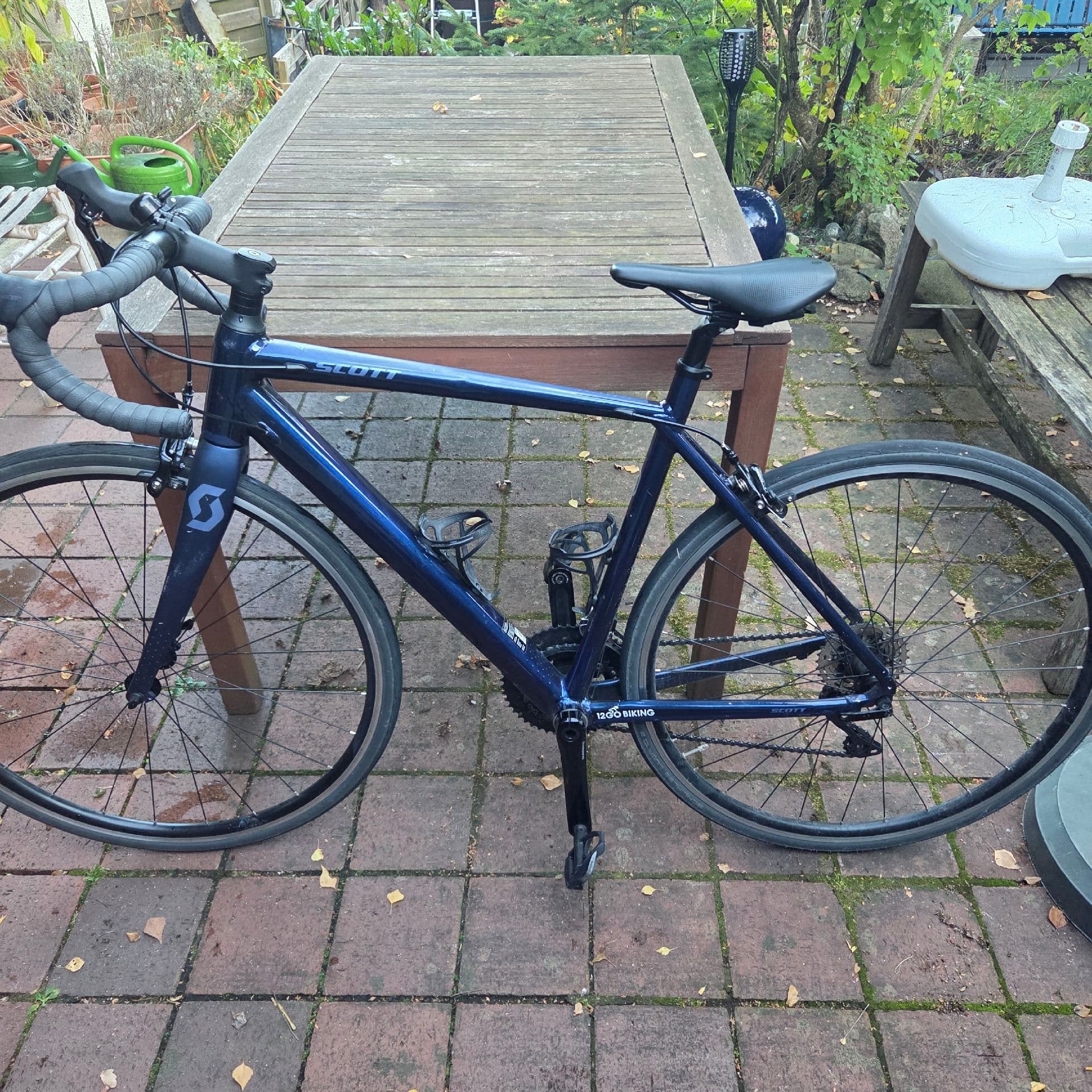 Scott Contessa Speedster 15 2020