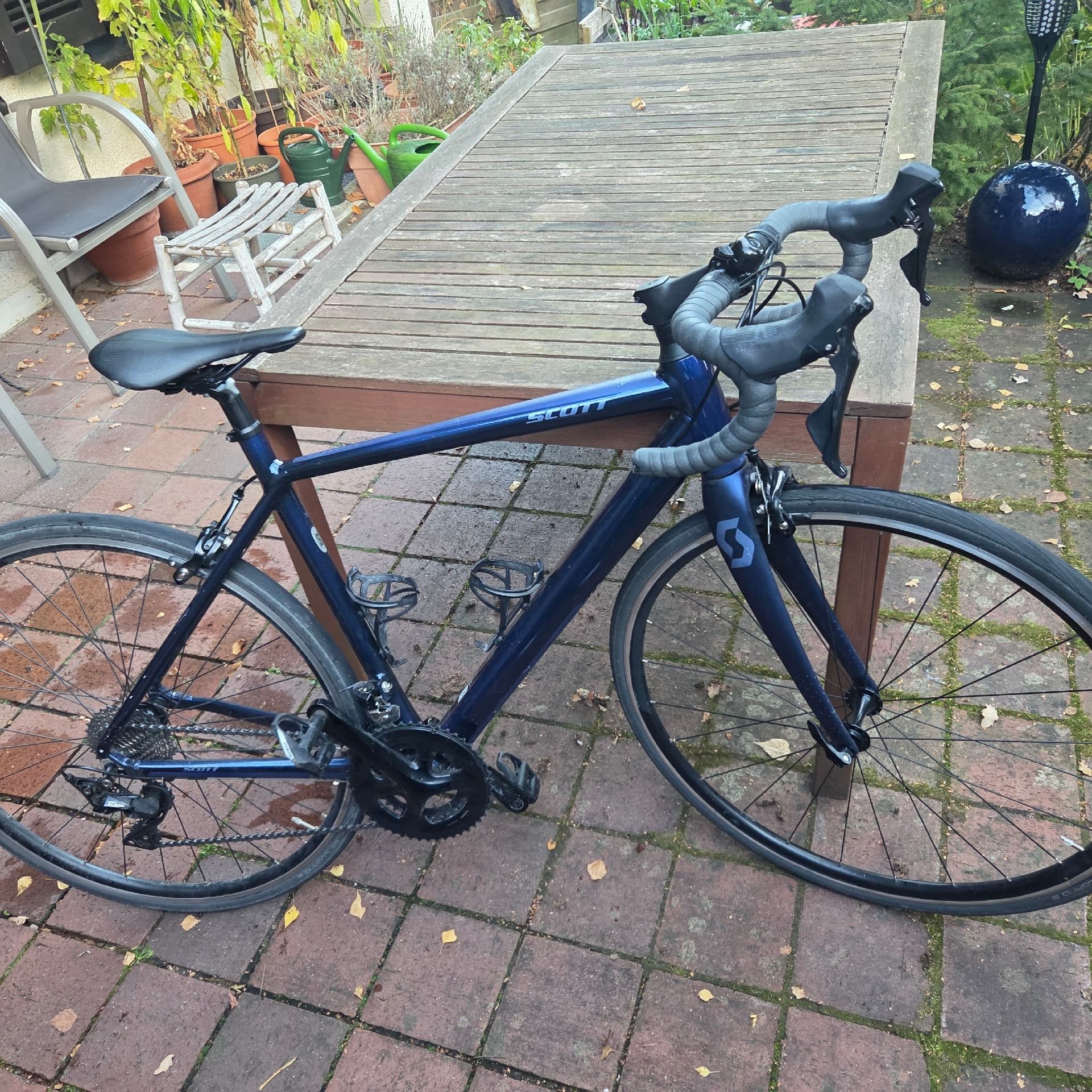 Scott Contessa Speedster 15 2020
