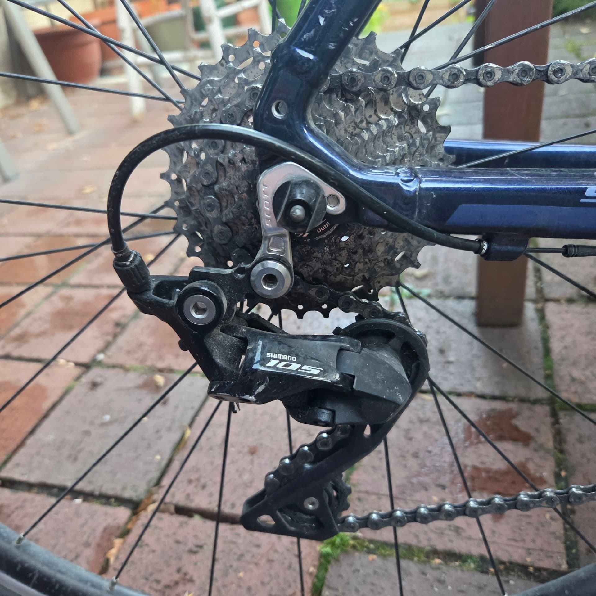 Scott Contessa Speedster 15 2020