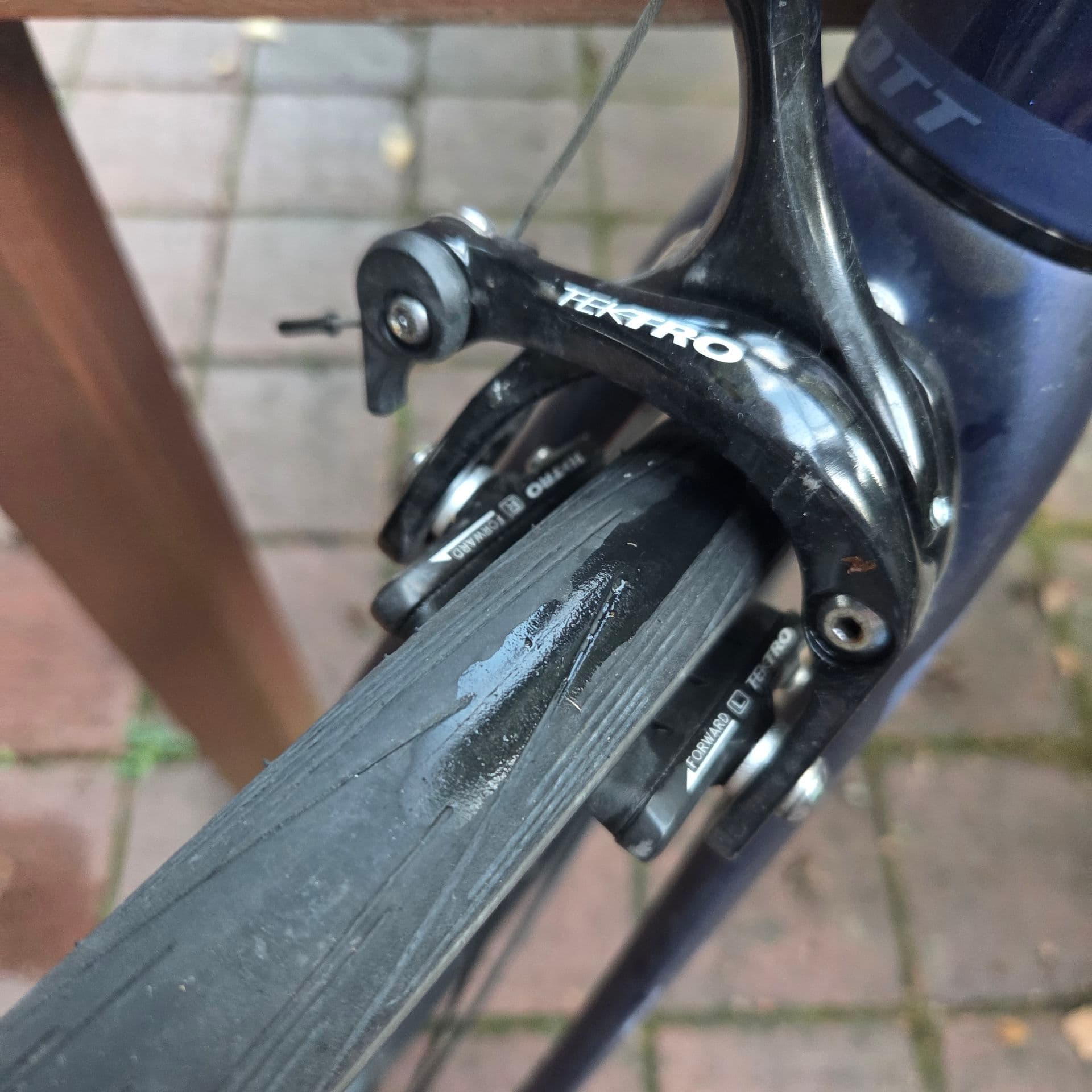 Scott Contessa Speedster 15 2020