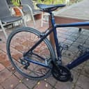 Scott Contessa Speedster 15 2020