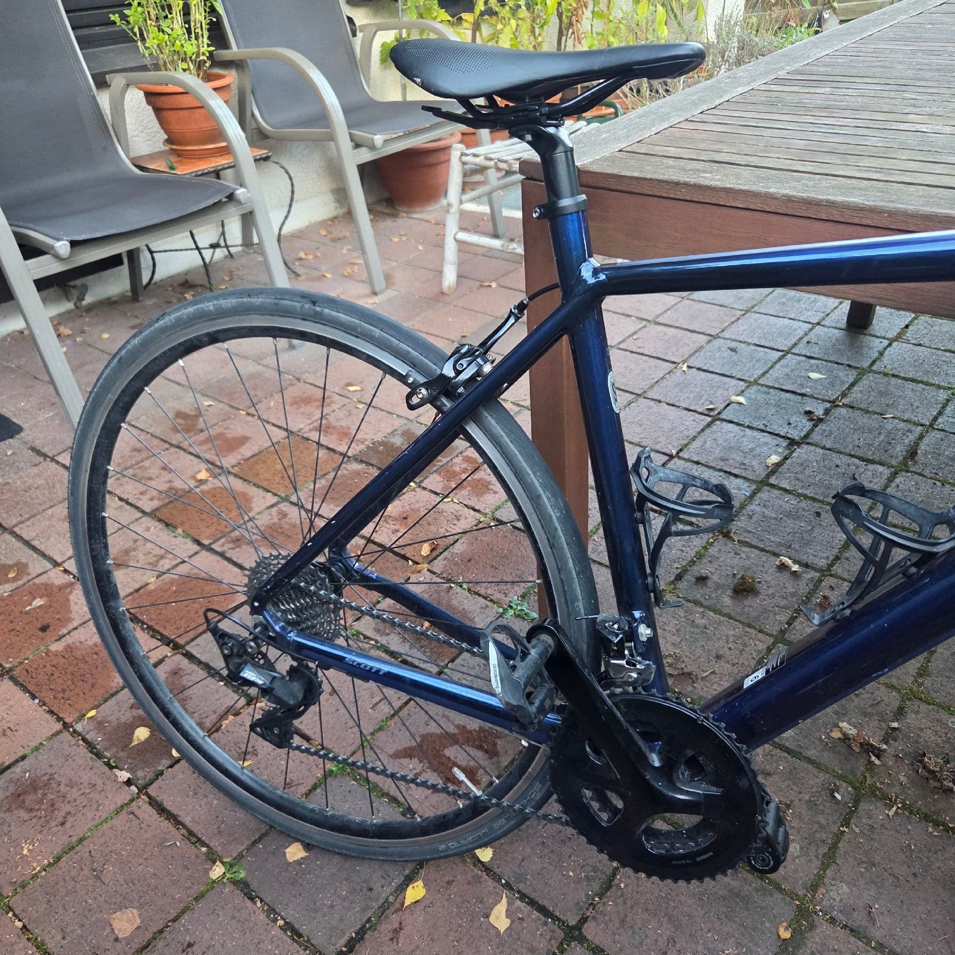 Scott Contessa Speedster 15 2020