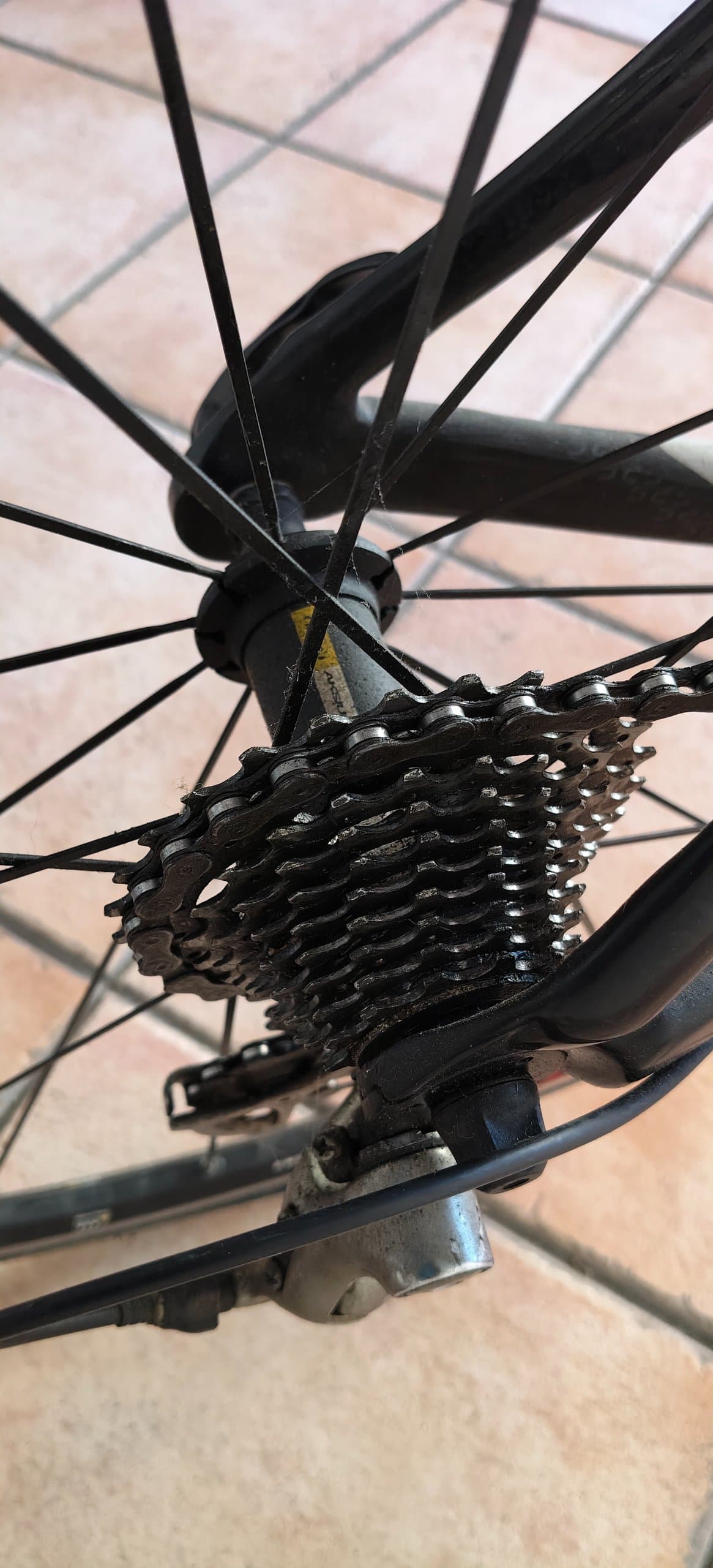 Cannondale Synapse 2013