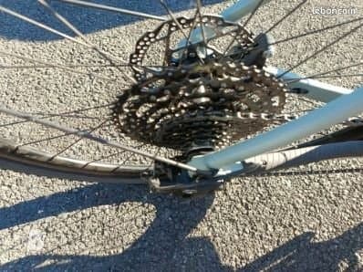 Orbea Denna H40 2025