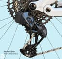 Canyon Spectral 125 CF 9 2023