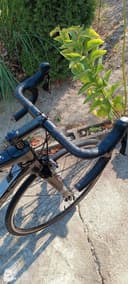 Ribble Endurance SL 2021