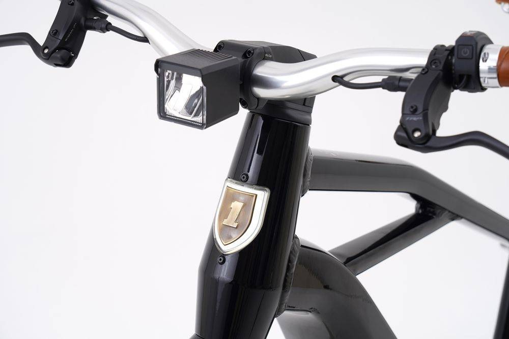 Analog Motion Harley-Davidson E-Bike TRIBUTE 2024
