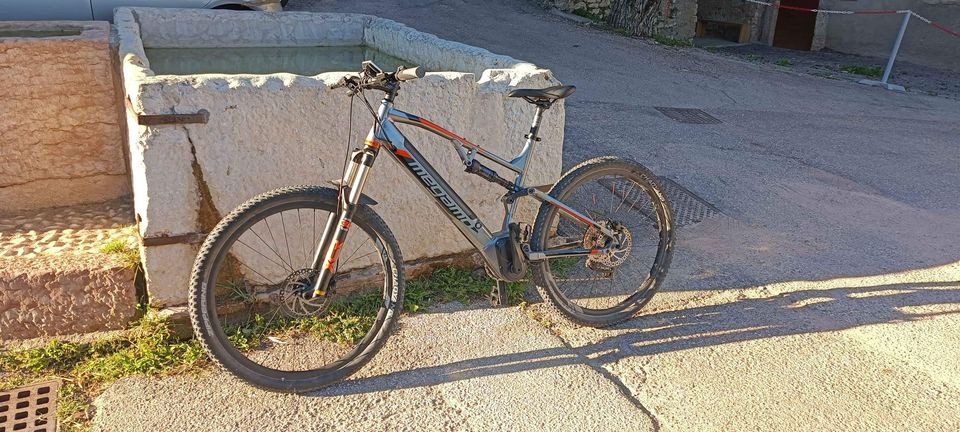 Megamo ridon fs 2022