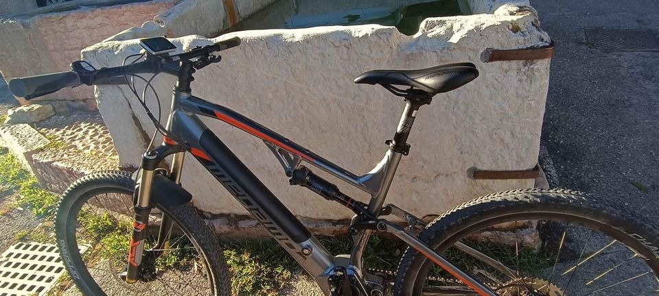 Megamo ridon fs 2022