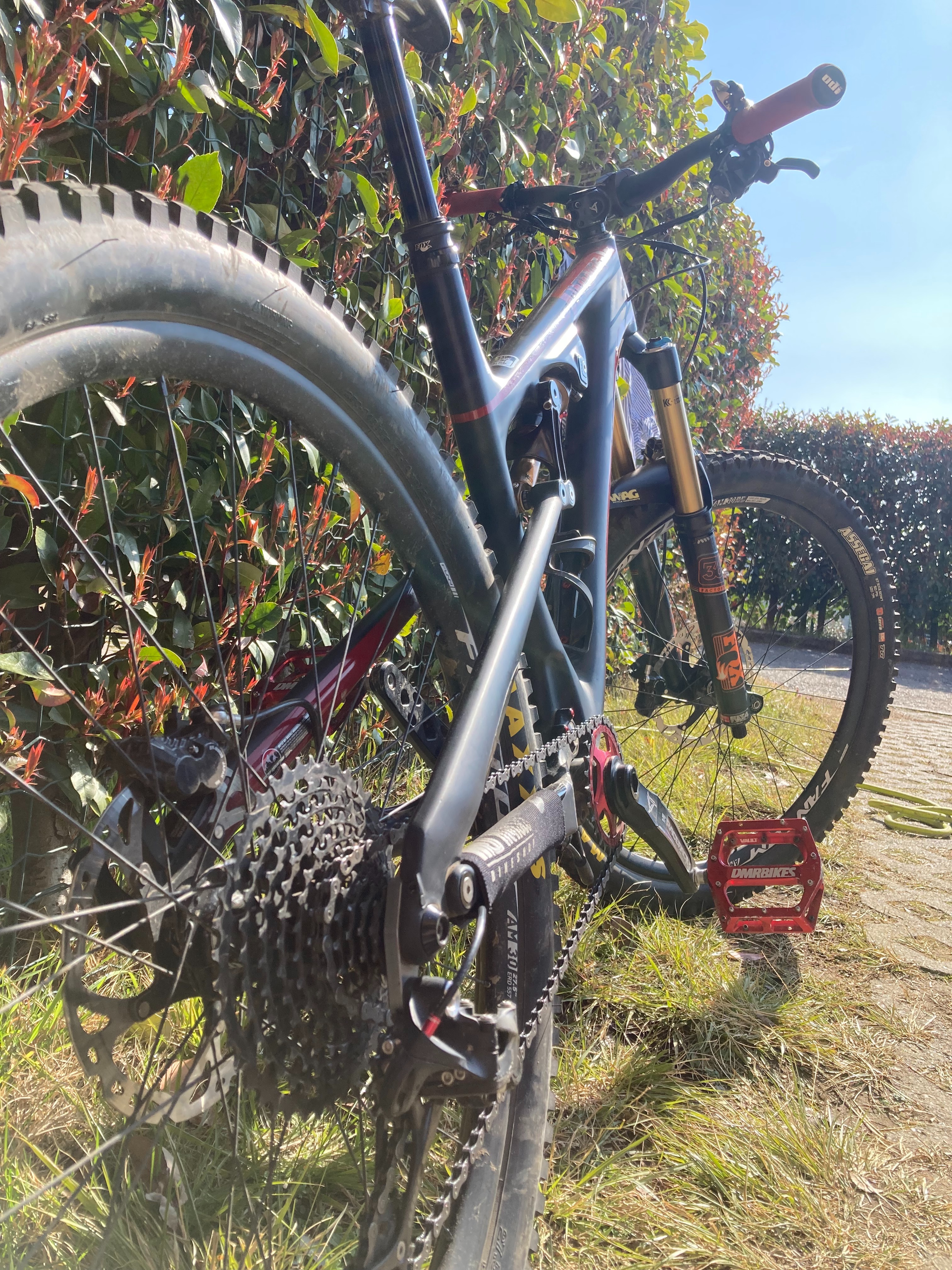 Rocky Mountain Altitude 770 msl 2016