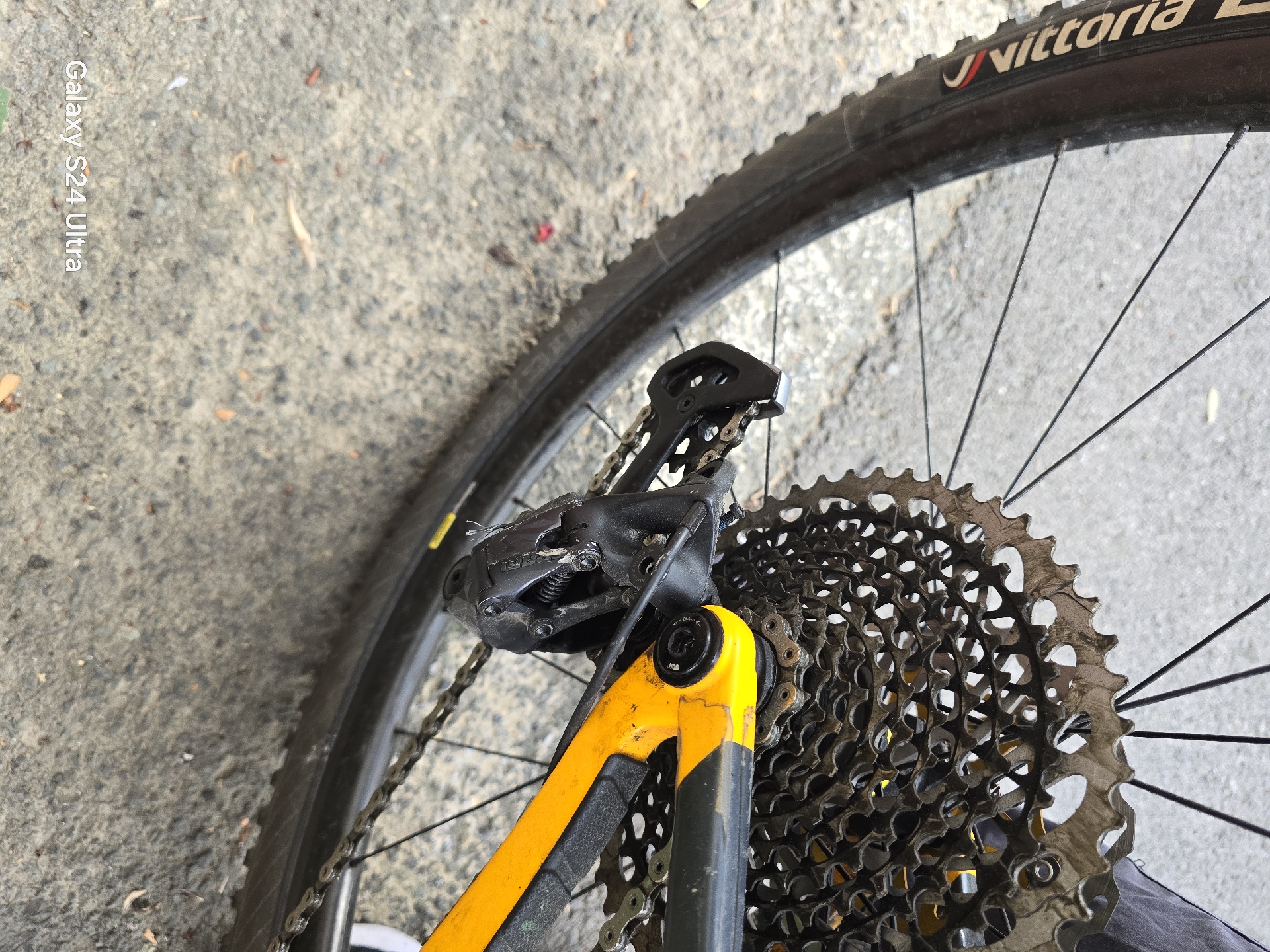 Trek Procaliber 9.7 2022