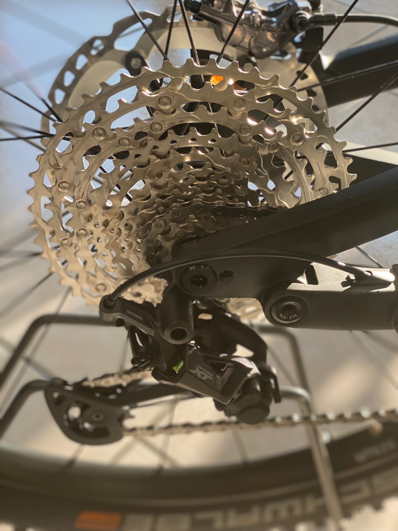 Whistle CHEYENNE ENDURO 29" 12V 2024