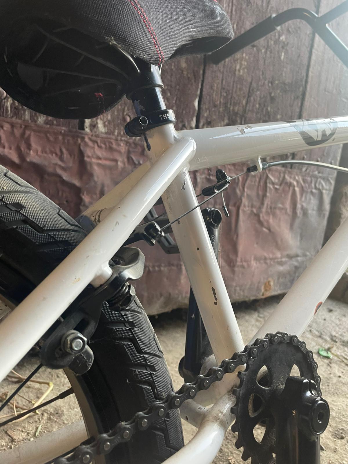 Subrosa Sono 2022