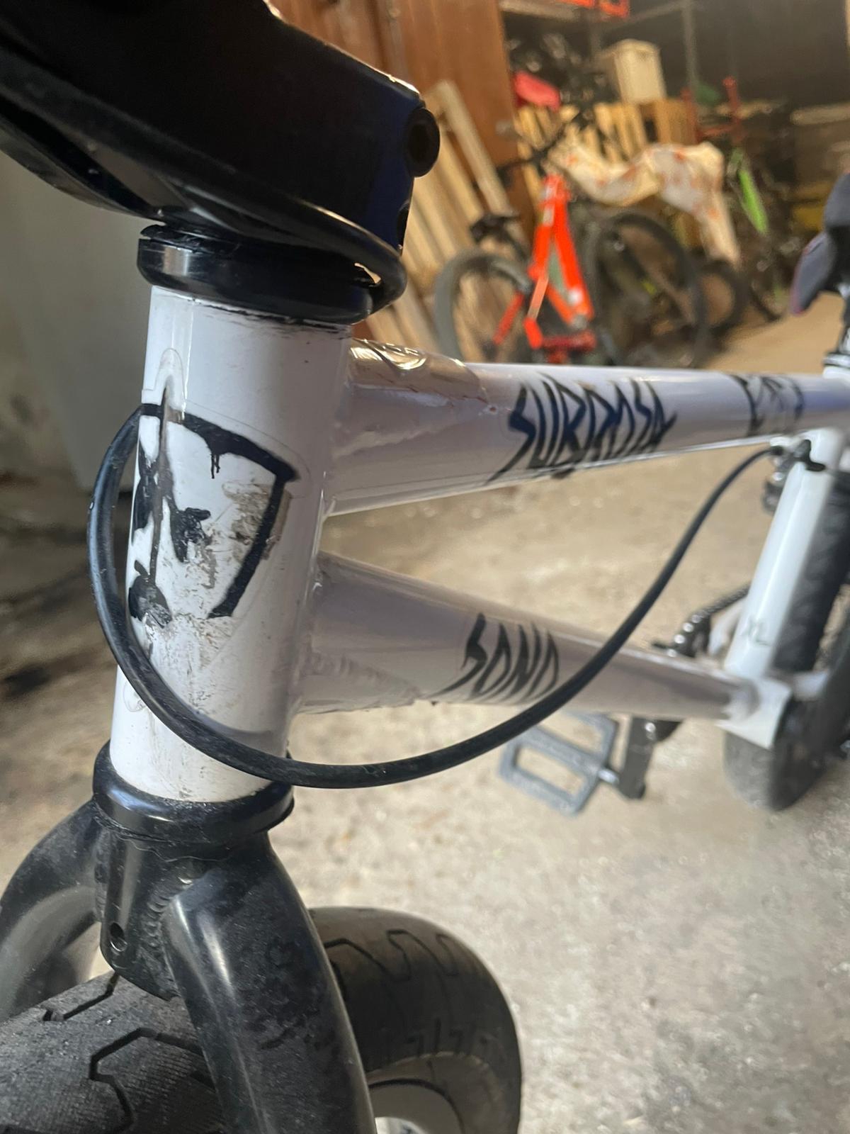 Subrosa Sono 2022