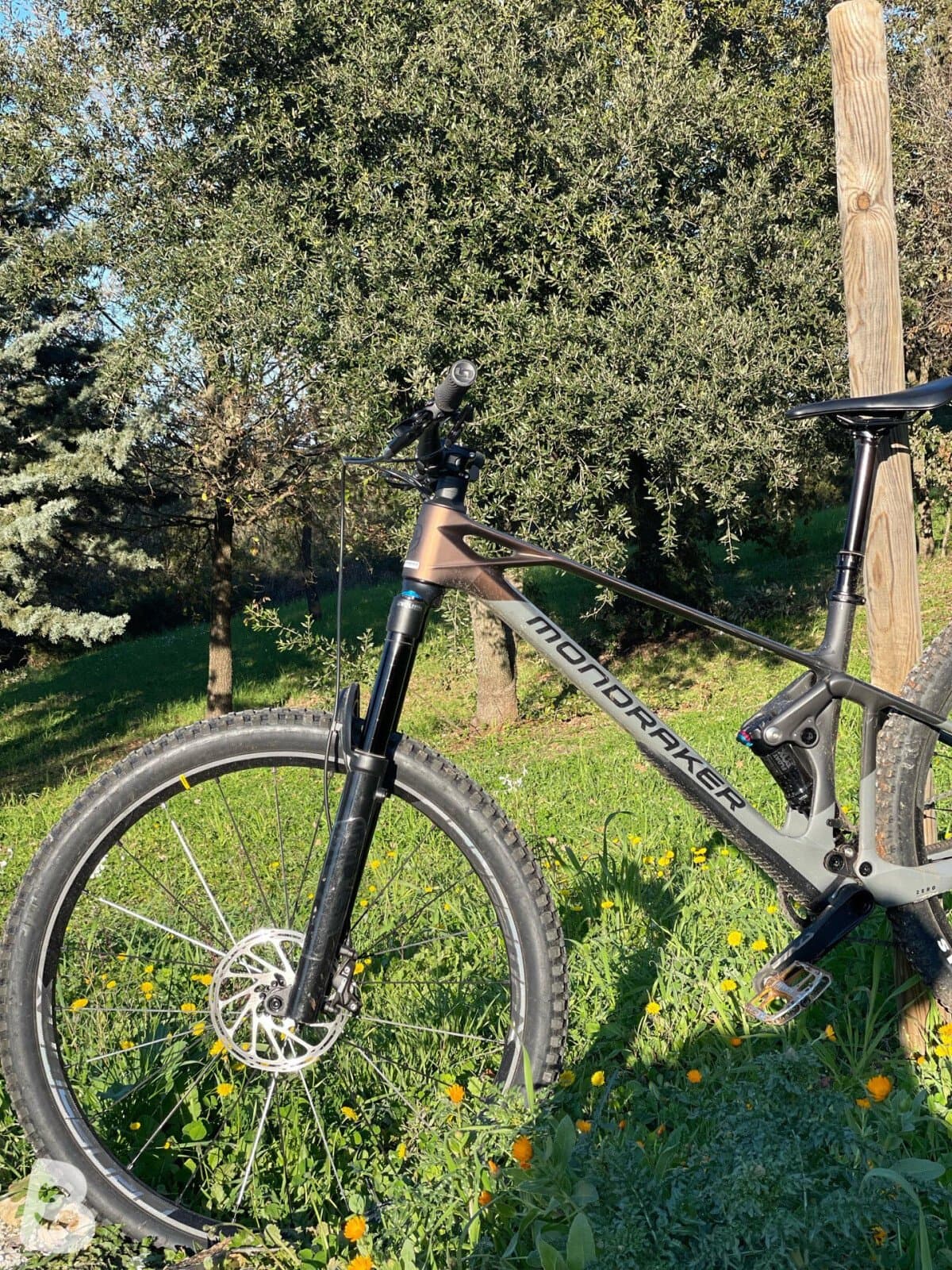 Mondraker Raze R Carbon 2024