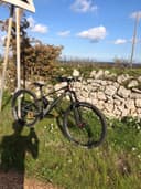 Mondraker Raze R Carbon 2024