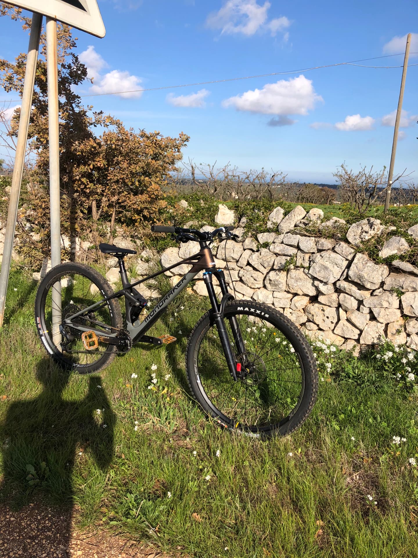 Mondraker Raze R Carbon 2024