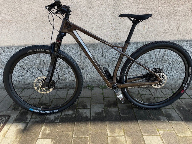 Raymon Hardray 8.0 2024