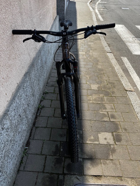 Raymon Hardray 8.0 2024