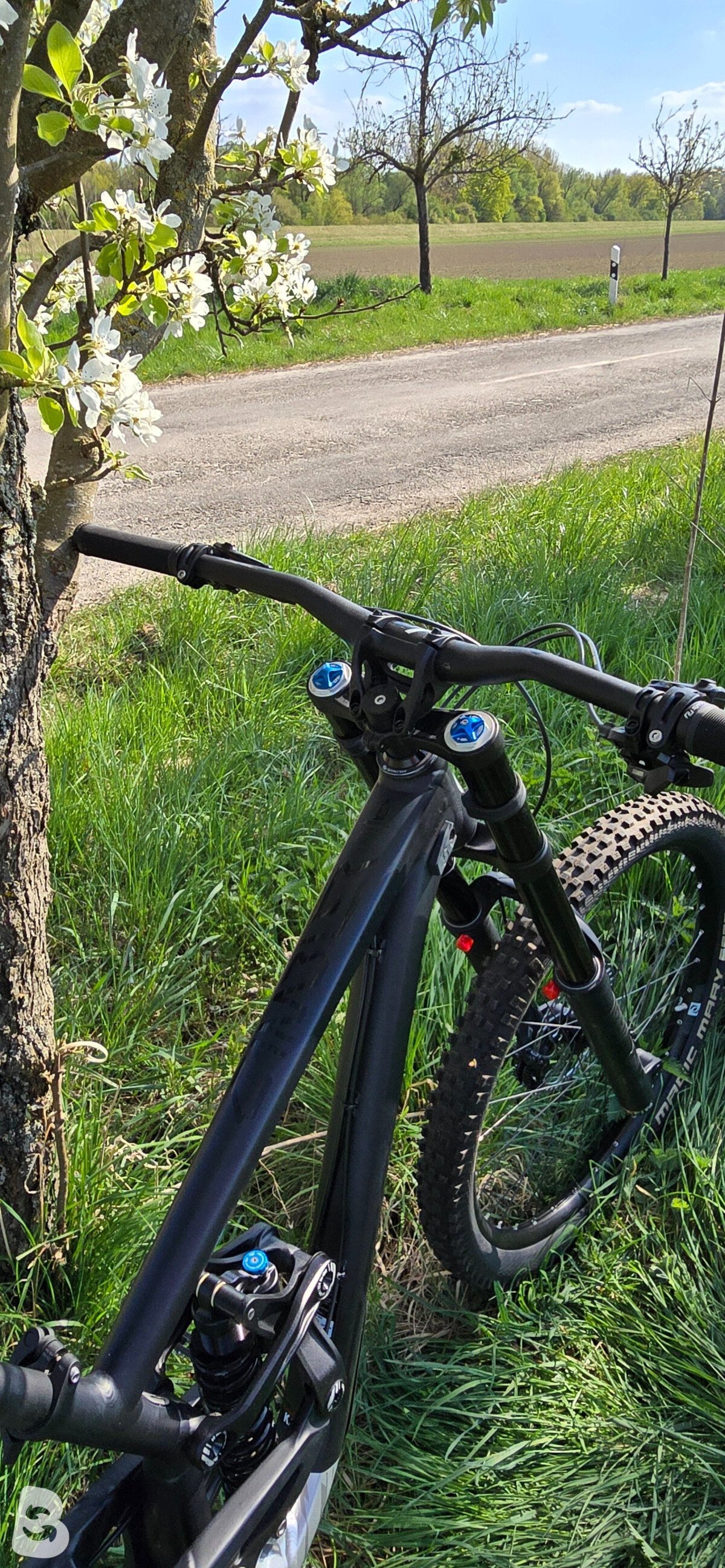 Scott Gambler 720 2018