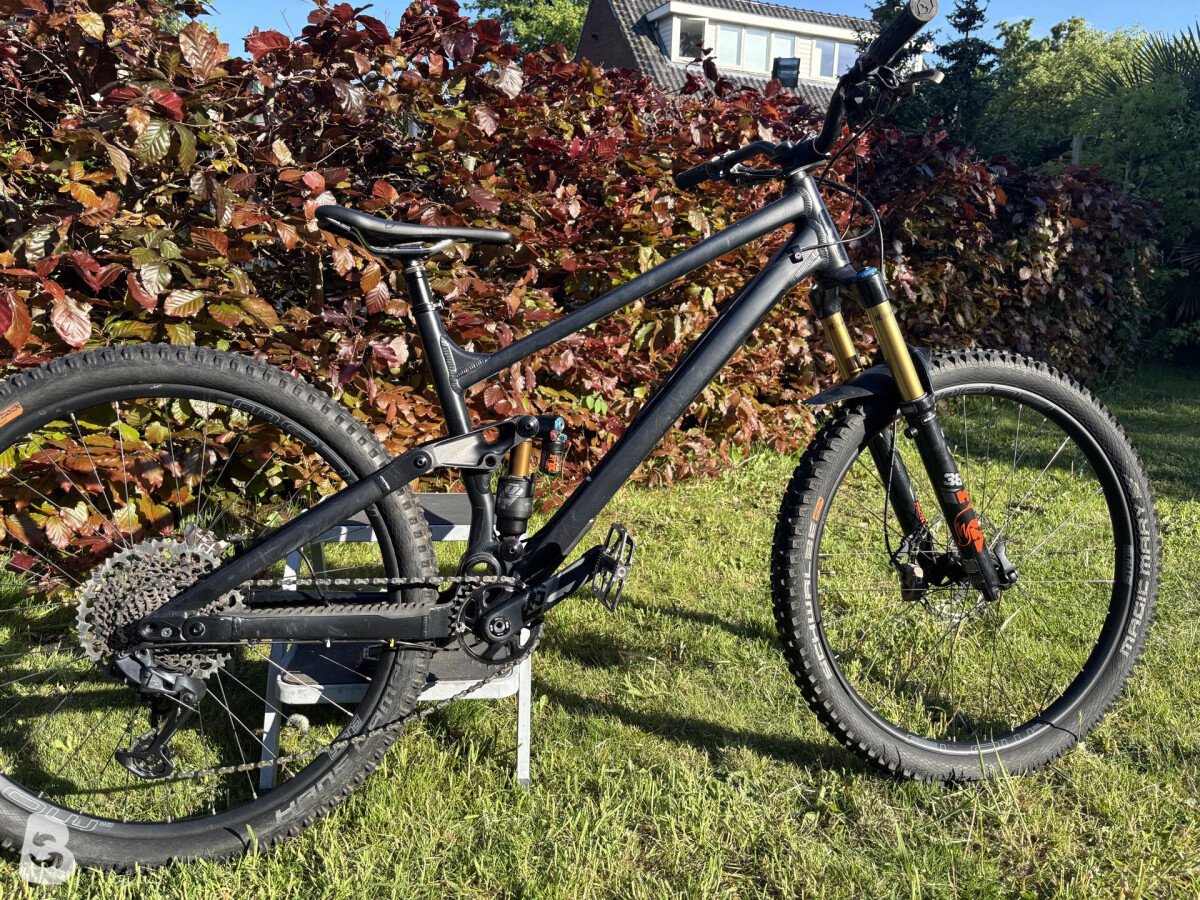 RAAW Jibb 2021