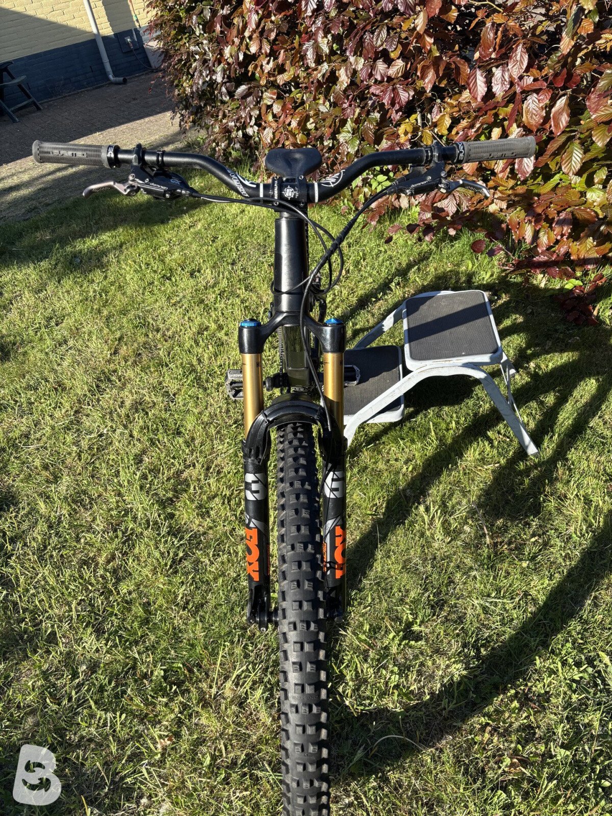 RAAW Jibb 2021