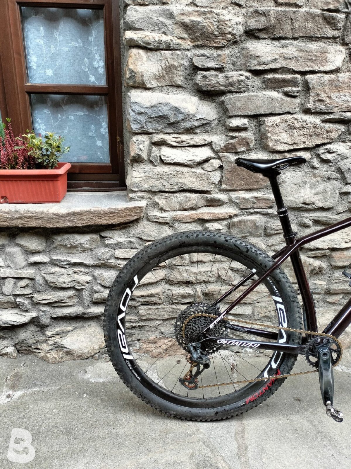 Specialized Epic Hardtail Expert 2021