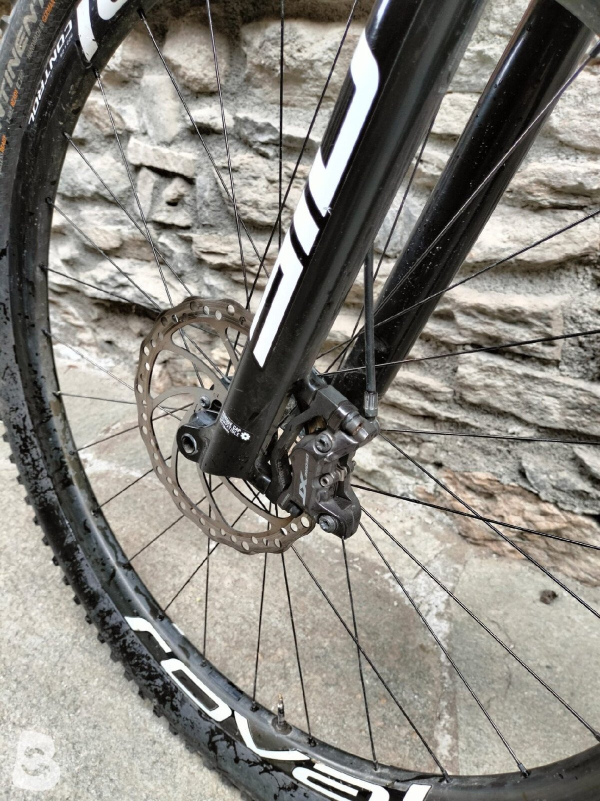 Specialized Epic Hardtail Expert 2021