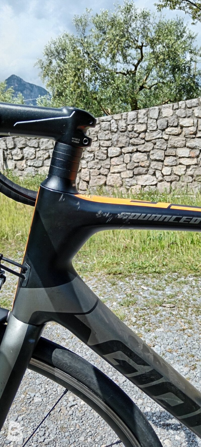 Giant TCR Advanced 2 2019