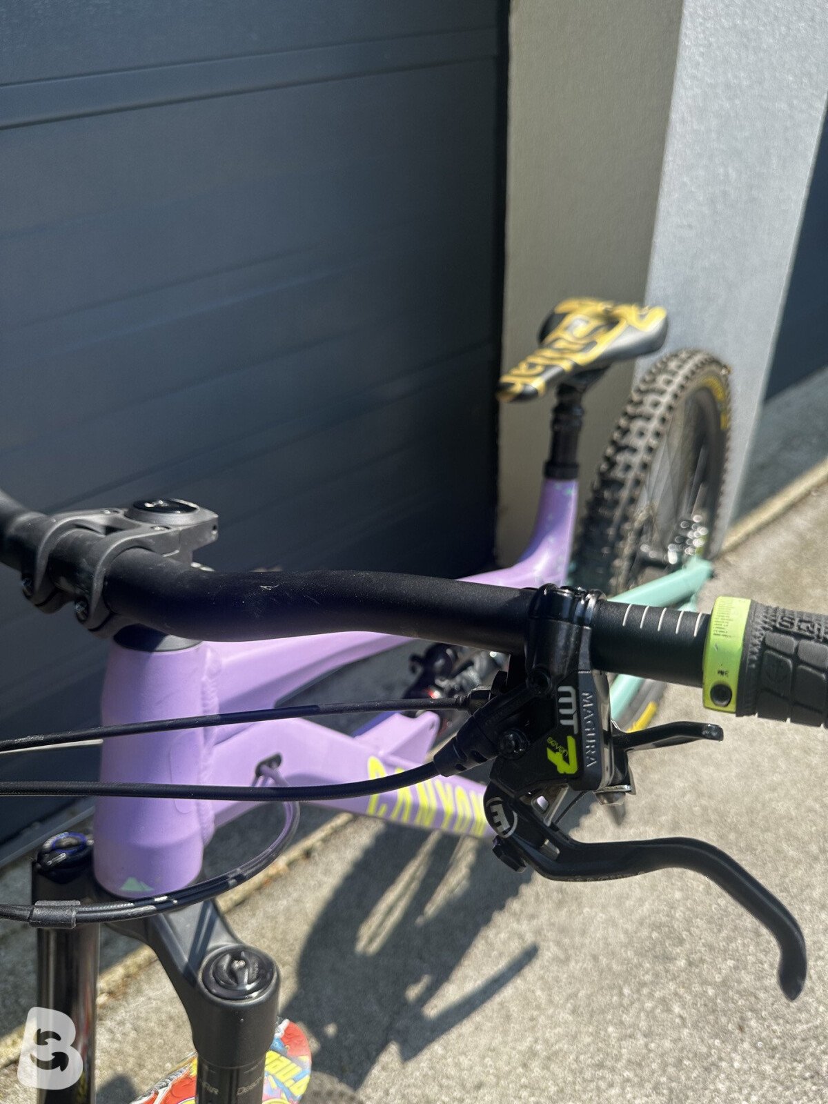 Canyon Torque AL 5.0 2023