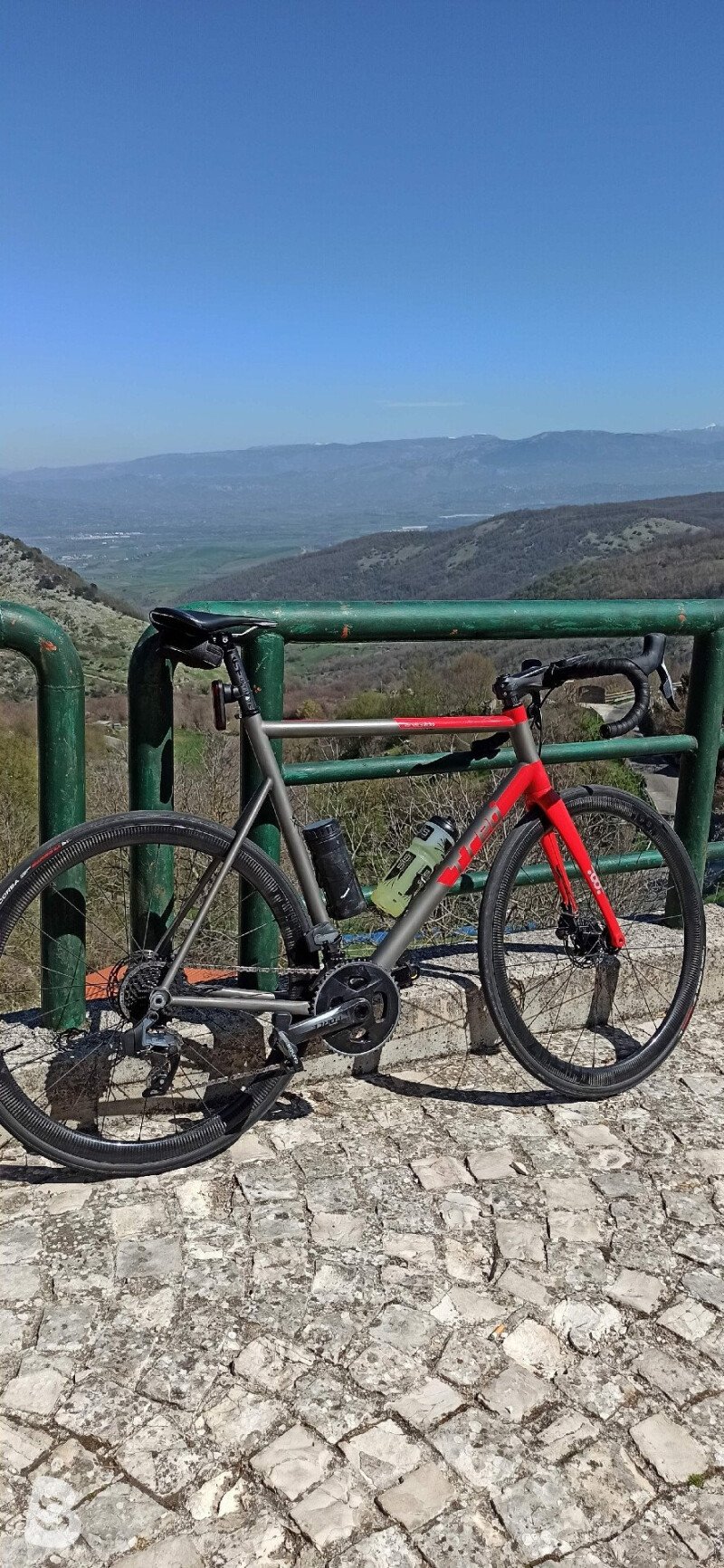 T-red Aracnide 2021