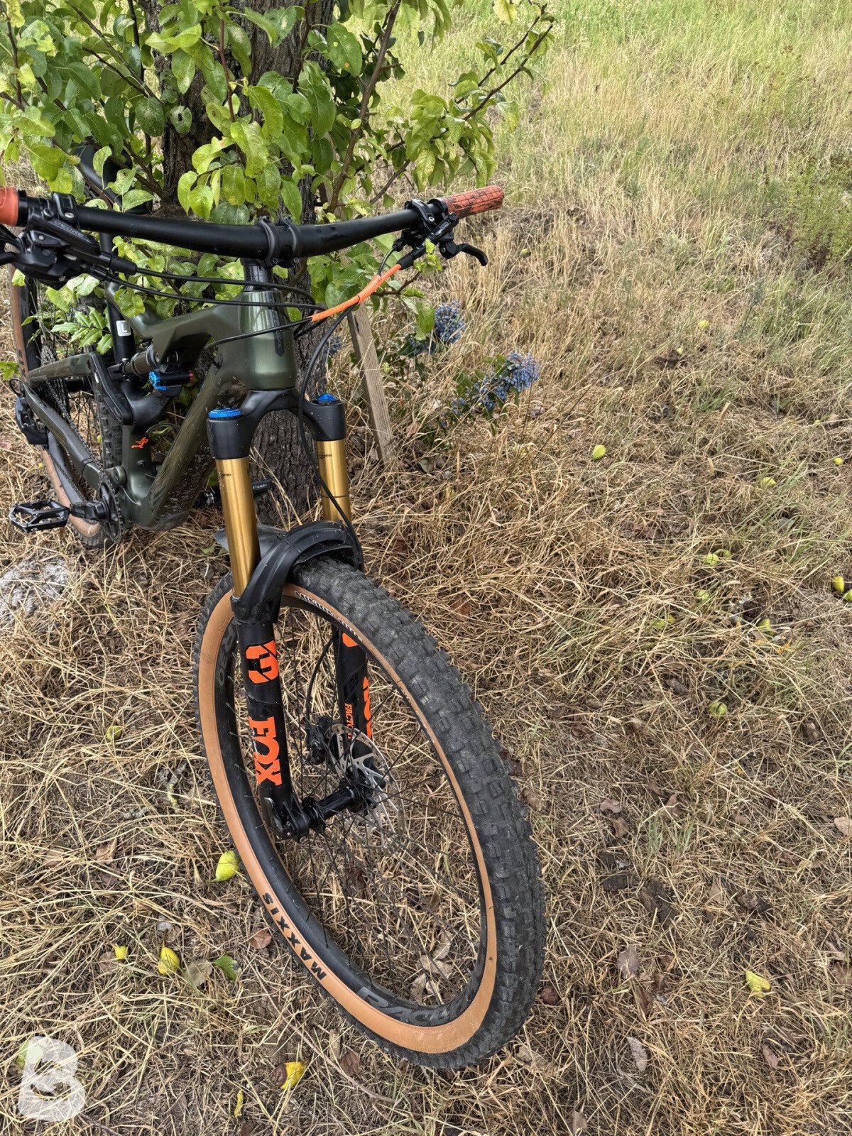 Orbea Rallon M20 2021