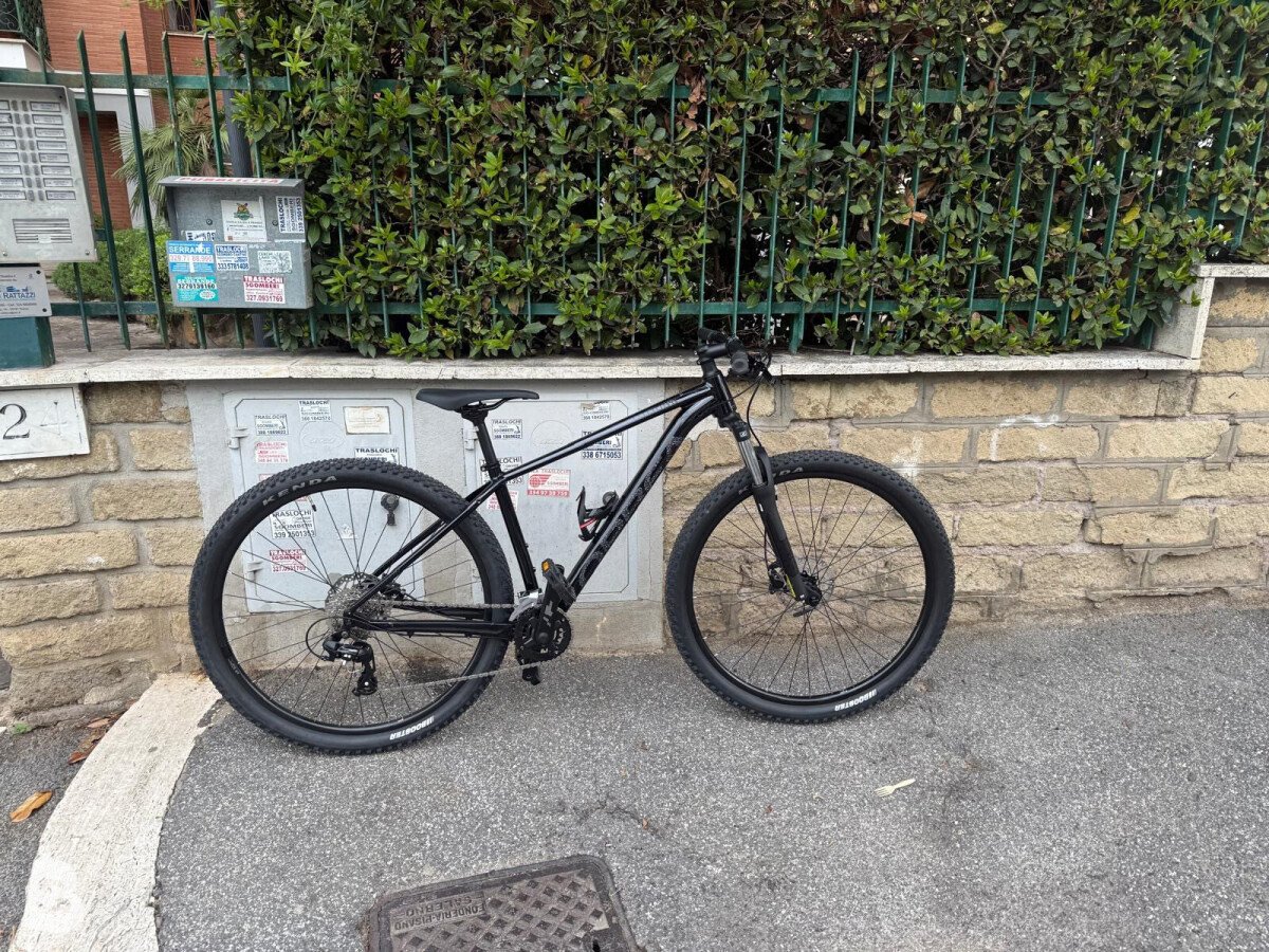 Orbea onna 50 2024