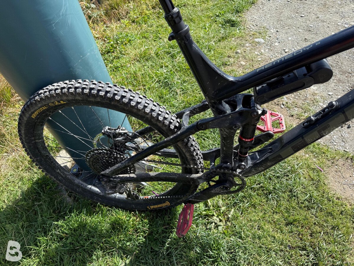 Trek Remedy 8 2019