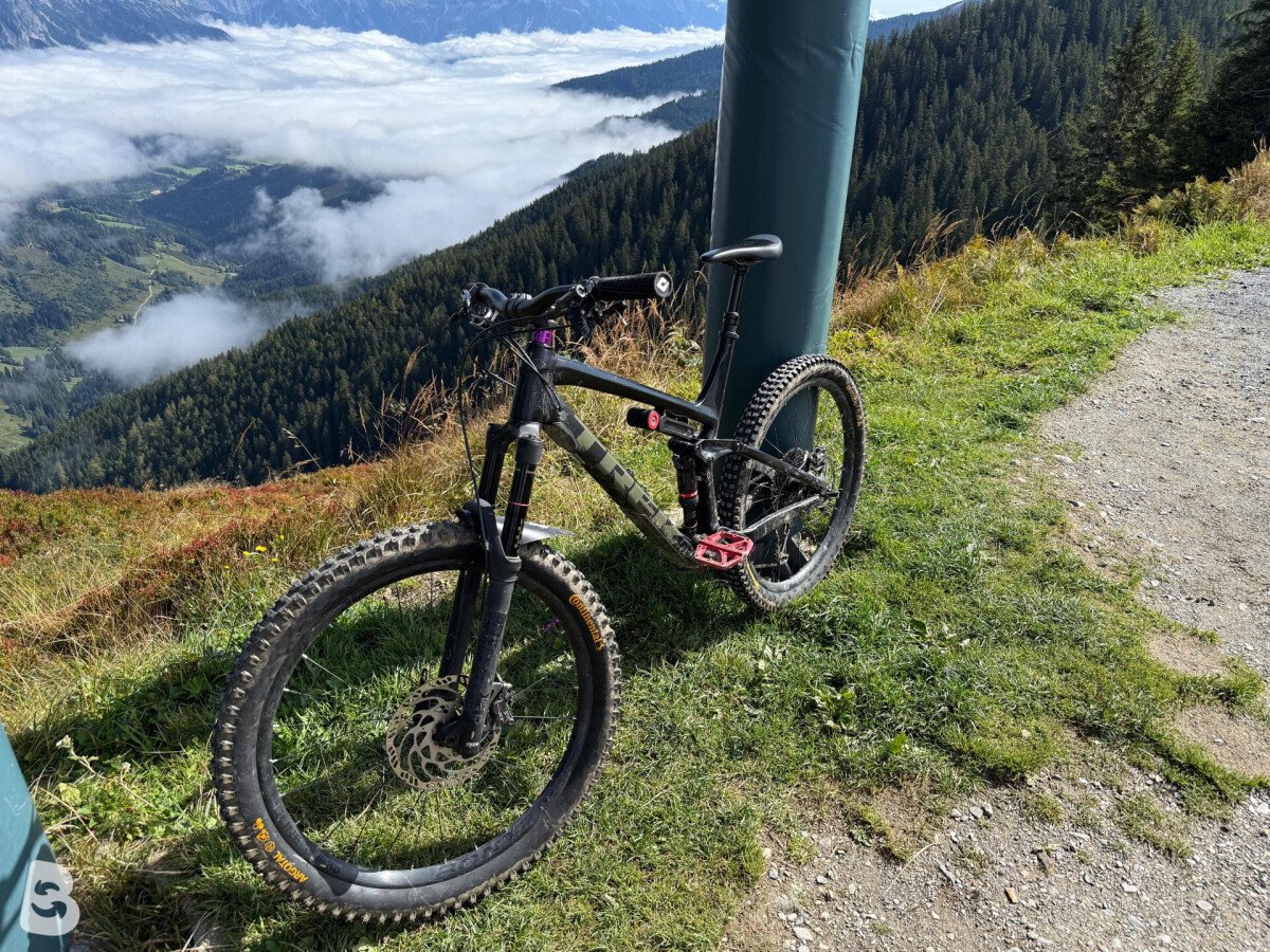 Trek Remedy 8 2019