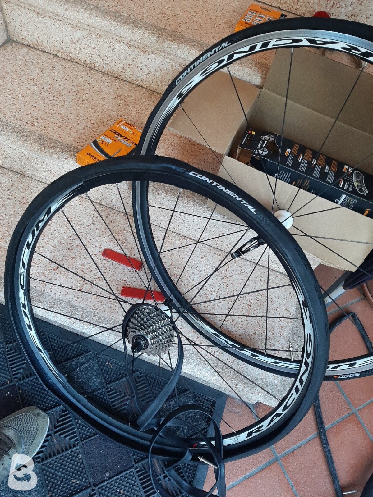 Bianchi Sempre Pro 2014
