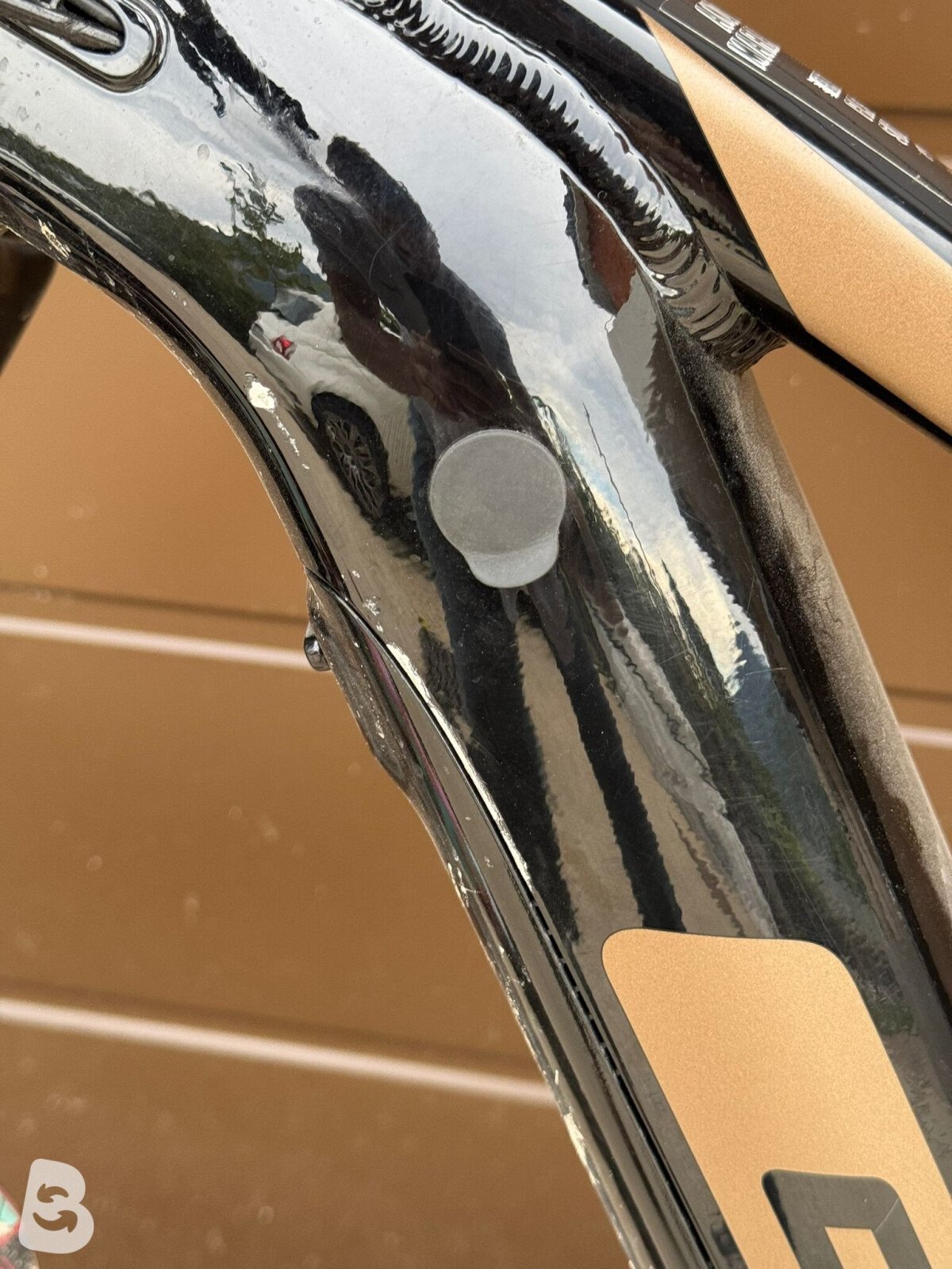 GT Force amp + 2022