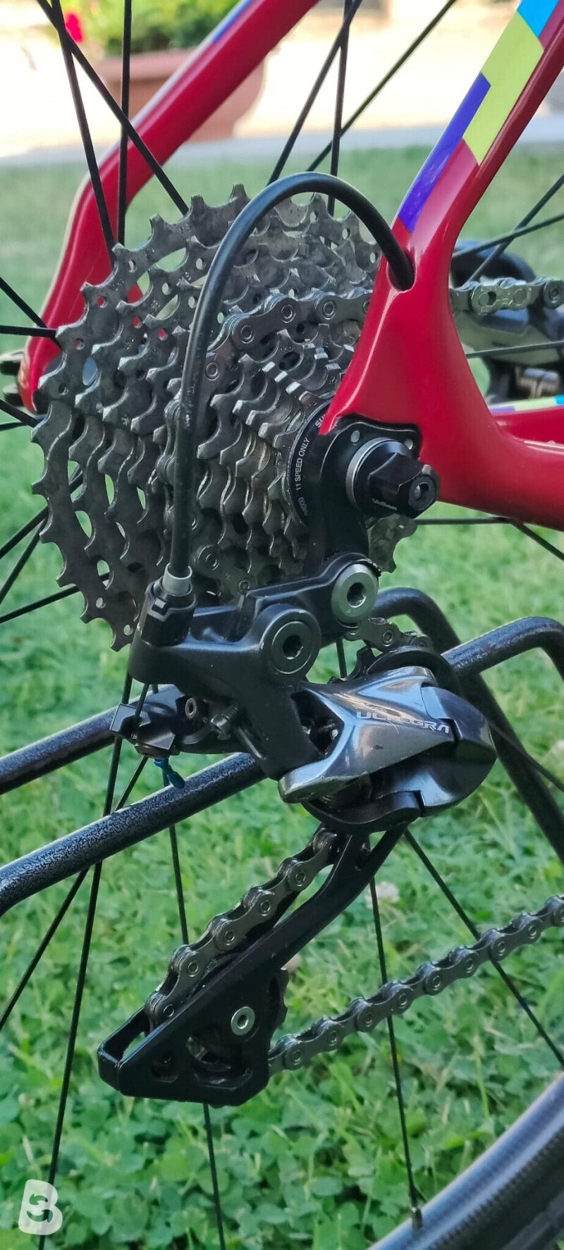 Cinelli Superstar Caliper Road 2020