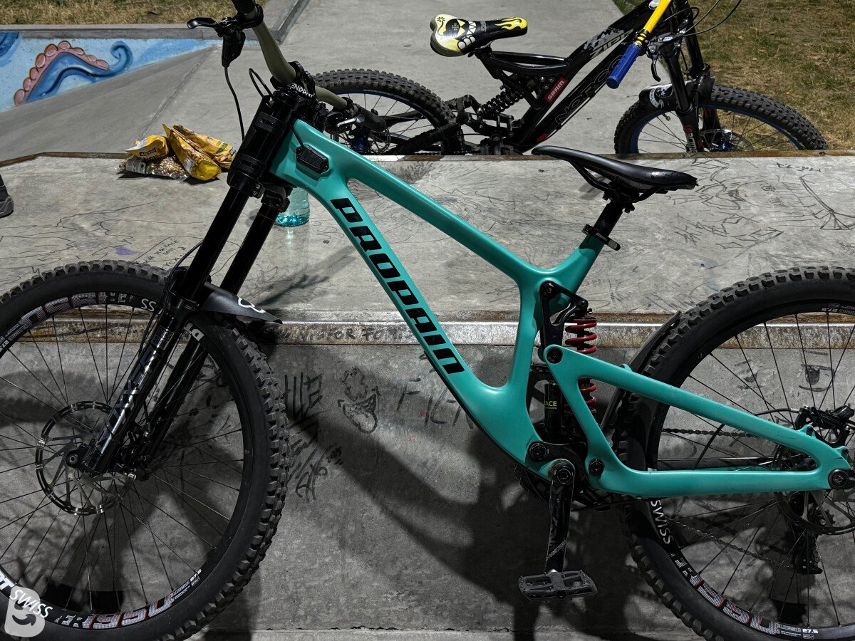 Propain Rage CF High End 2019