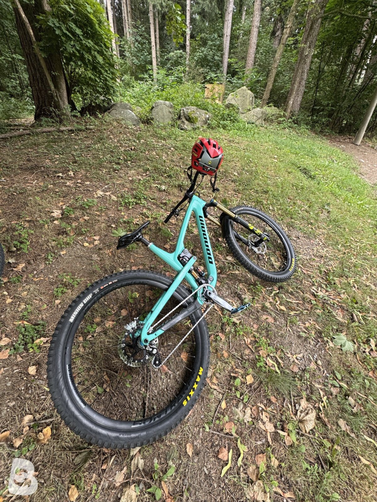 Propain Tyee CF Performance 2020