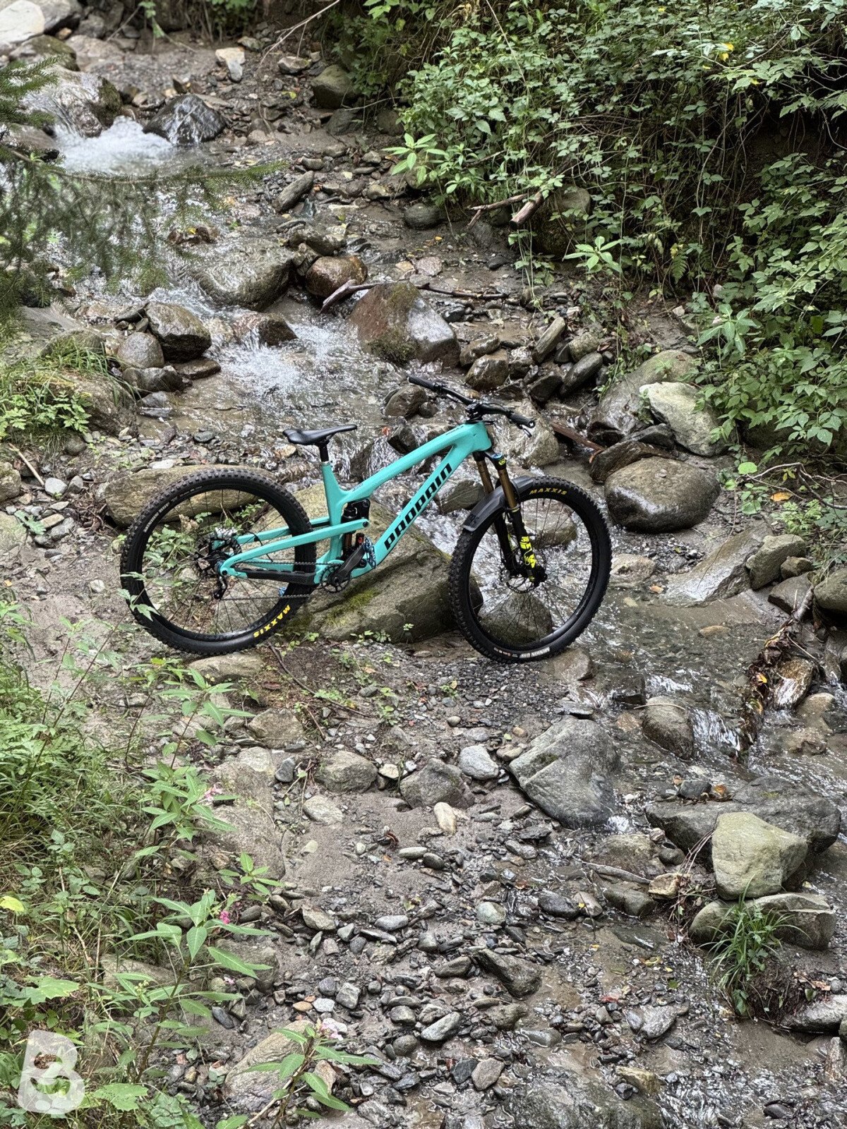 Propain Tyee CF Performance 2020